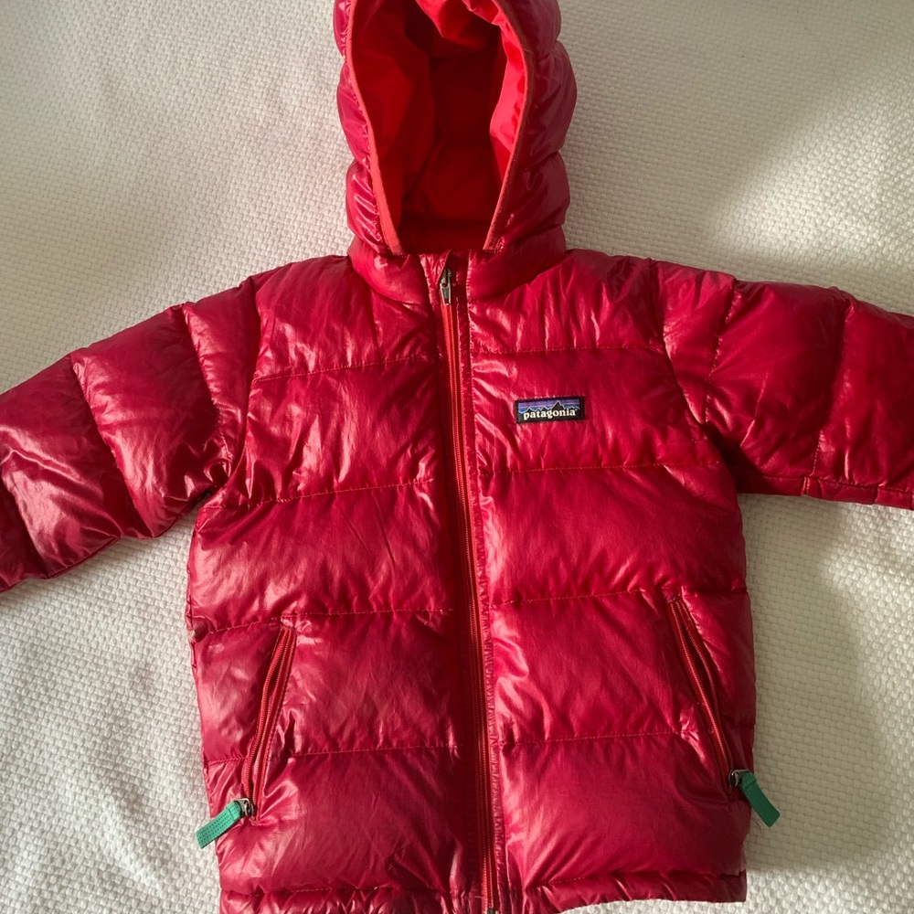 Patagonia hi loft down jacket